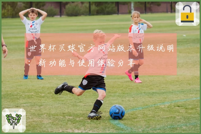 世界杯买球官方网站版本升级说明：新功能与使用体验分享